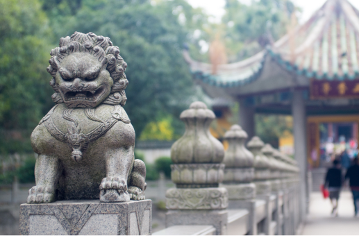 Туры по стране