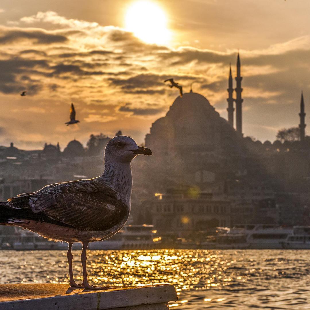 Экскурсионный тур: "Стамбул - город мечты"