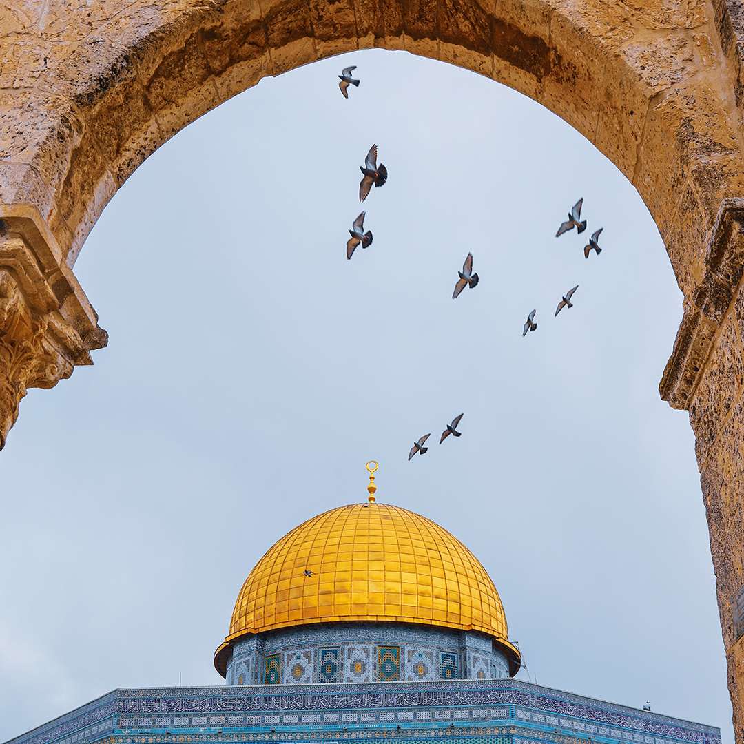 Путешествие по Израилю из Иерусалима