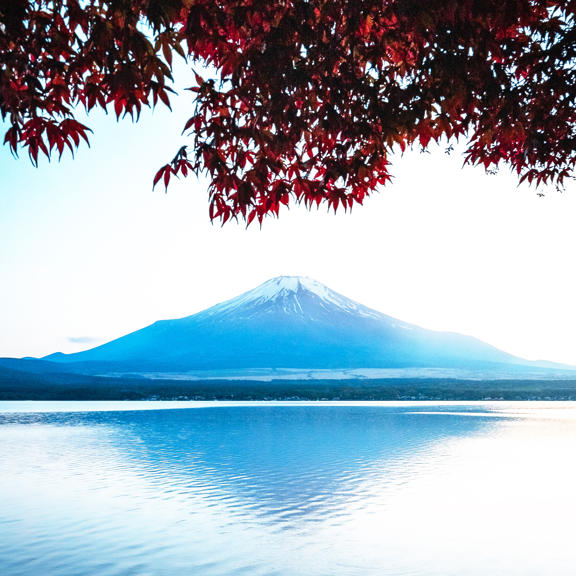 Экскурсионный тур: "Кленовые листья и онсэны Японии"