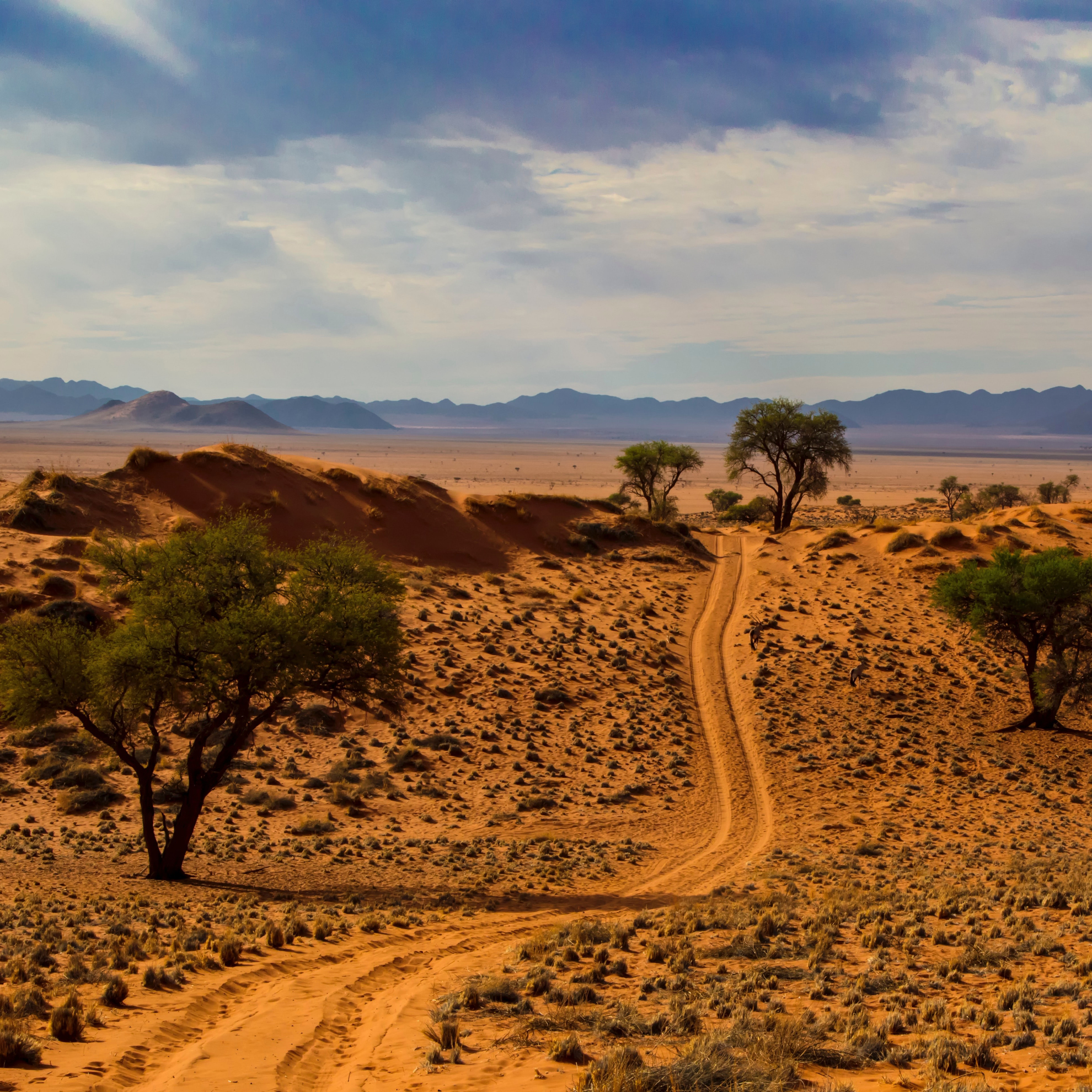 Экскурсионный тур: "Намибия-экспресс с авиаперелетами"