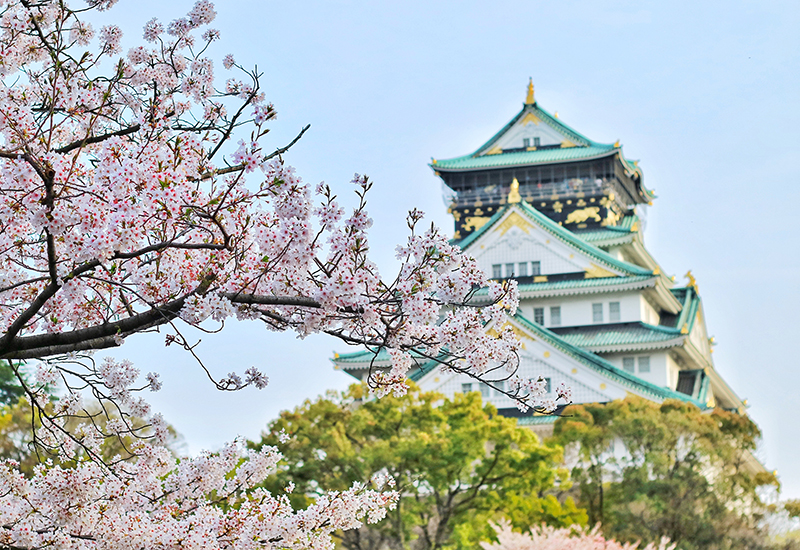 Рекламный тур в Японию на цветение сакуры