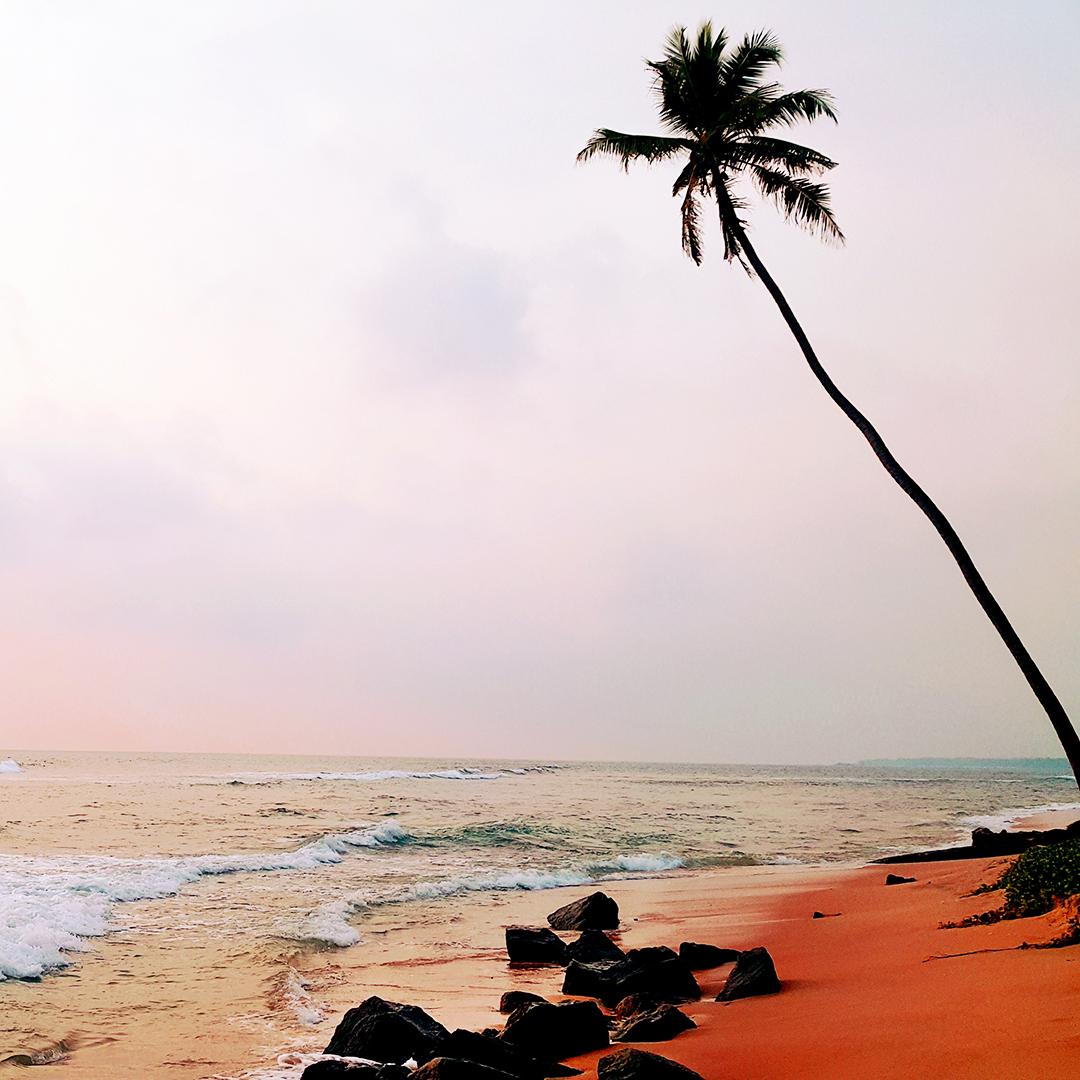 "Медовый месяц на Шри-Ланке" + отдых на море