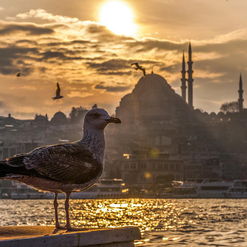 Едете по путевке в Стамбул? Обязательно посетите самые интересные места!