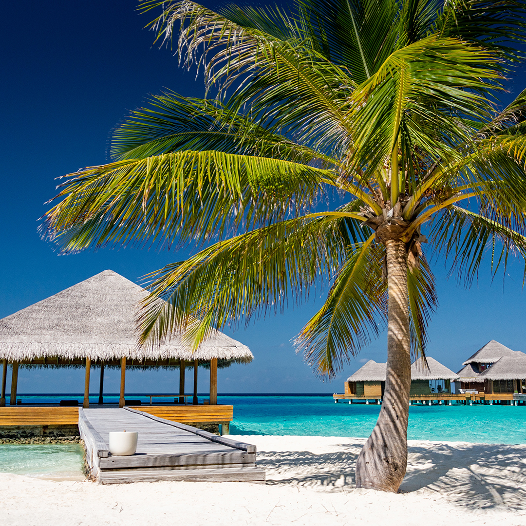 Мальдивы: Акция от отеля Sun Siyam Iru Fushi 5* -30% на проживание!