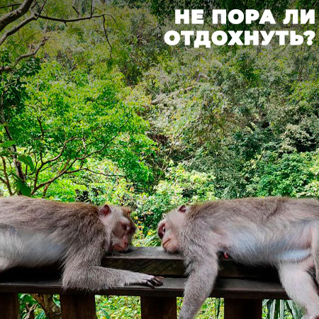 График работы в праздники