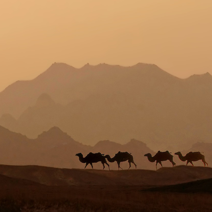 Экскурсионный тур "Караваны пустыни"